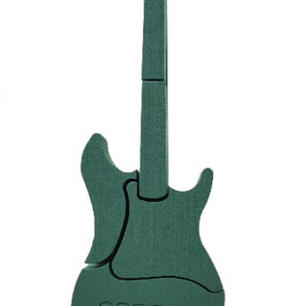 OASIS® BIOLINE® Elektrische gitaar